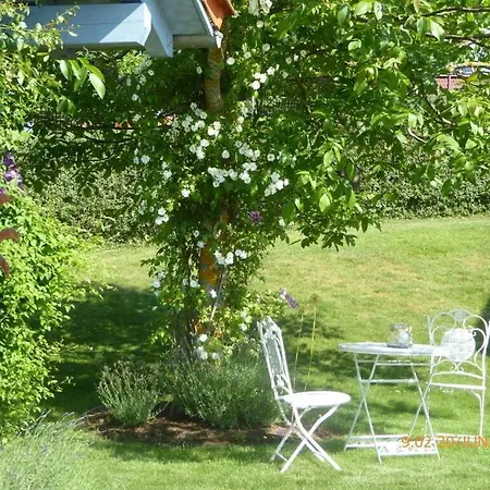 Appartement In